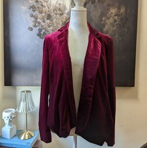 🪞 Walter Baker Seth Crop Velvet Blazer Size Small  Retail $198